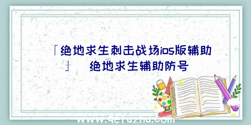 「绝地求生刺击战场ios版辅助」|绝地求生辅助防号